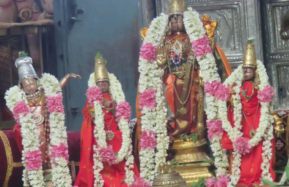 Kanchi Devaperumal Sannadhi Sangu pal Utsavam 2015-1