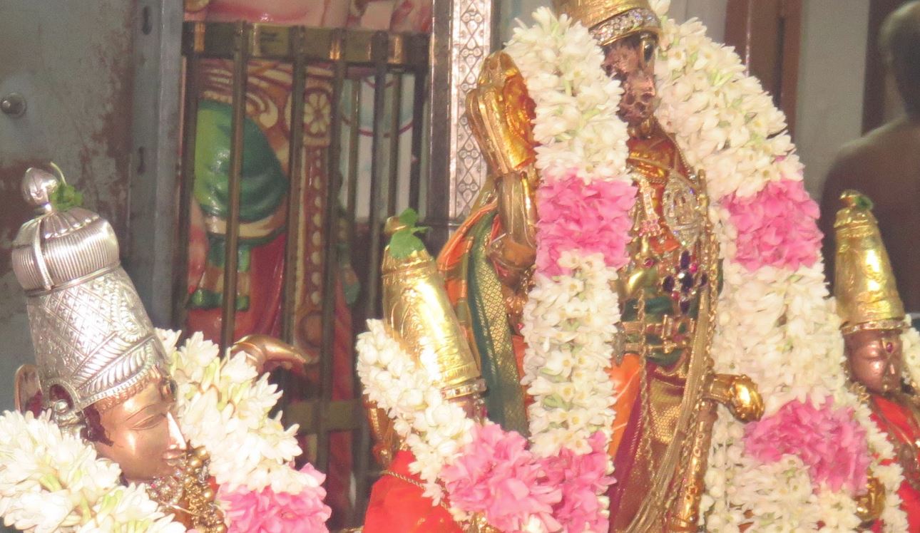 Kanchi Devaperumal Sannadhi Sangu pal Utsavam 2015-3