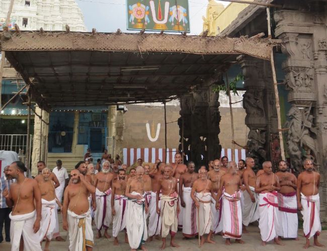 Kanchi Devarajaswami Temple avani Ammavasai purappadu 2015 18