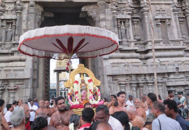 Kanchi Devarajaswami Temple avani Ammavasai purappadu 2015 20