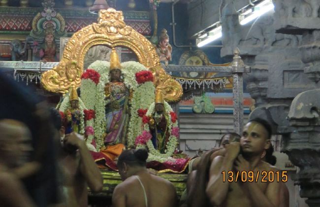 Kanchi Devarajaswami Temple avani Ammavasai purappadu 2015 46