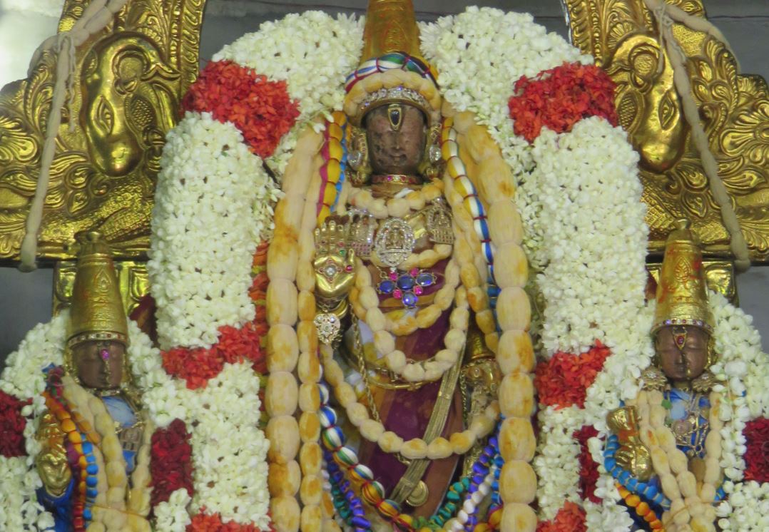 Kanchi Pavithrotsavam 2015 day 6-2