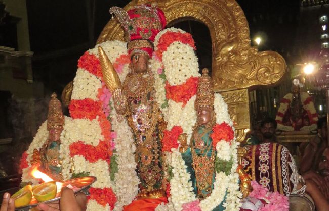 Kanchi Perumal  Swami Desikan Thirunakshatra Utsava Satrumurai  201506