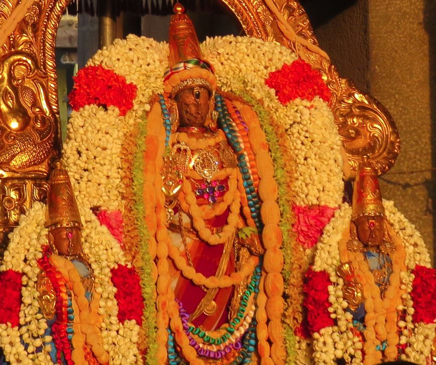 Kanchi Sri Devaperumal Pavithrotsavam 2015 - day 4