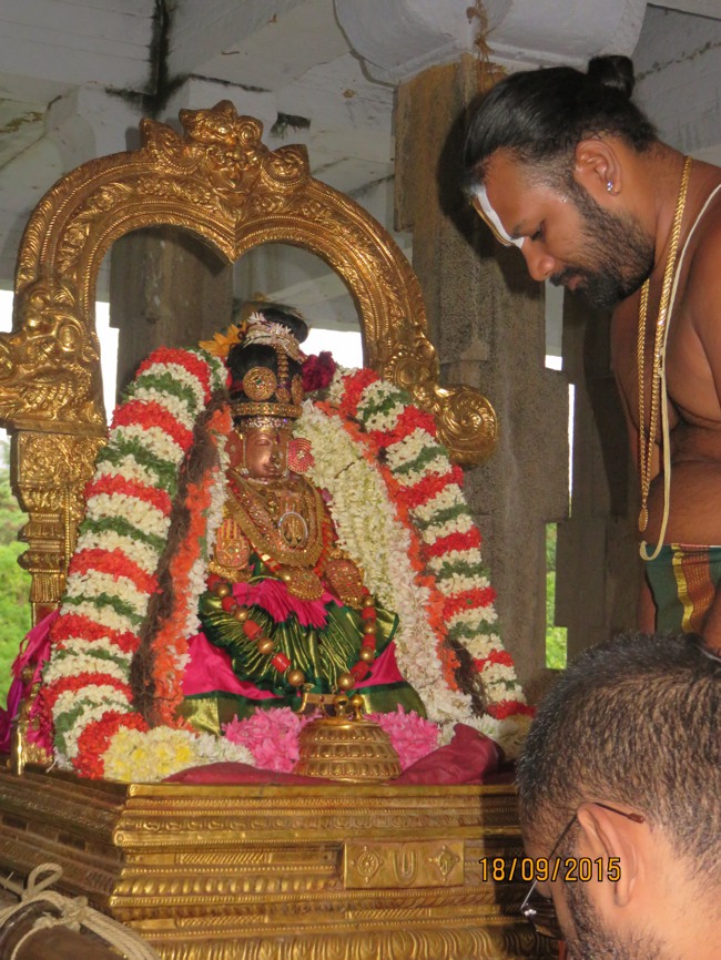 Kanchi Sri Devarajaswami TEmple Perundhevi Thayar Purattasi Sukravara Purappadu -2015-0015