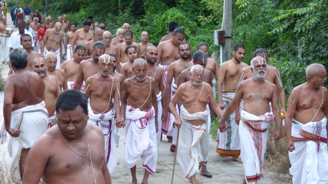 Kanchi Sri Devarajaswami TEmple Perundhevi Thayar Purattasi Sukravara Purappadu -2015-09