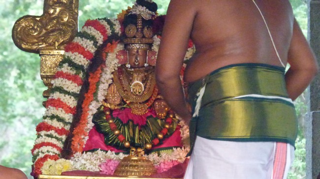 Kanchi Sri Devarajaswami TEmple Perundhevi Thayar Purattasi Sukravara Purappadu -2015-12