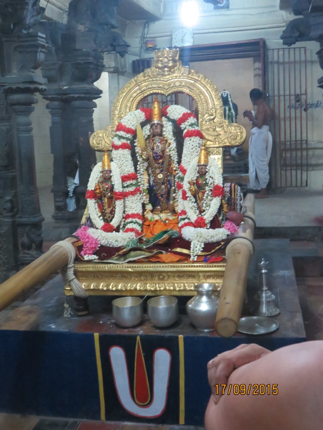 Kanchi Sri Devarajaswami TEmple Purattasi masapirappu Purappadu -2015-25
