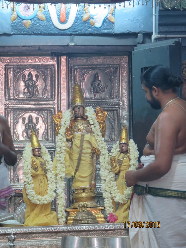 Kanchi Sri Devarajaswami TEmple Purattasi masapirappu Purappadu -2015-27