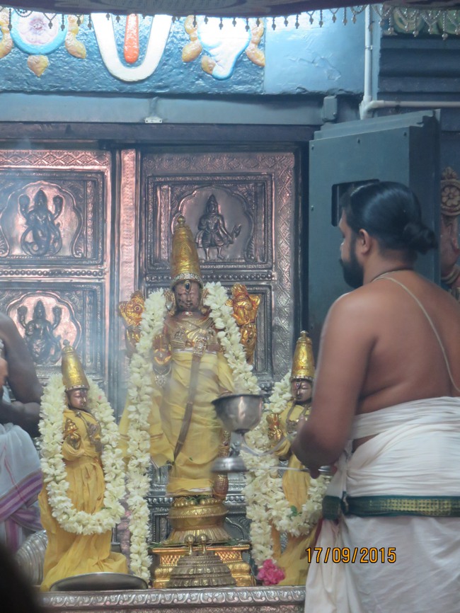Kanchi Sri Devarajaswami TEmple Purattasi masapirappu Purappadu -2015-31