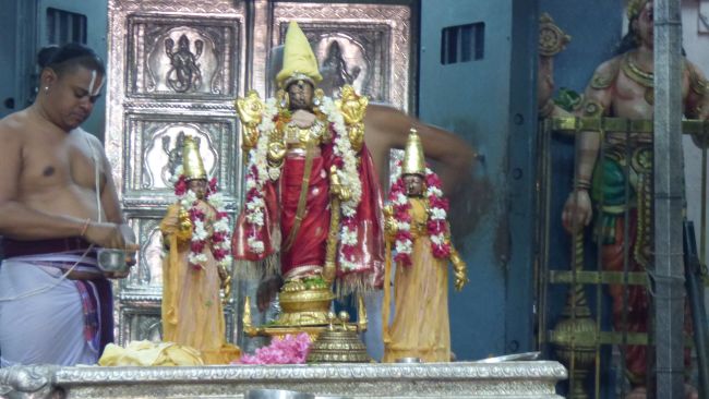 Kanchi Sri Devarajaswami Temple Avani Ekadasi Purappadu   2015 01