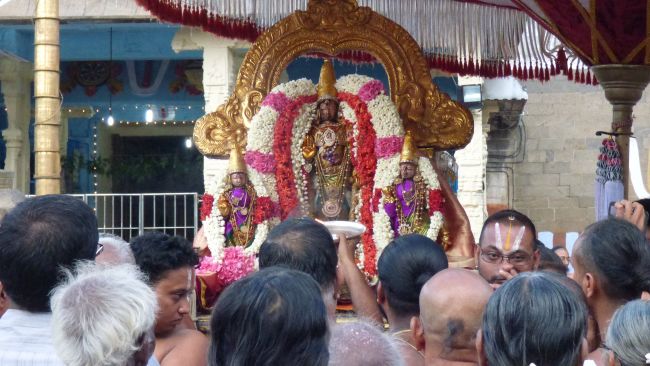 Kanchi Sri Devarajaswami Temple Avani Ekadasi Purappadu   2015 02