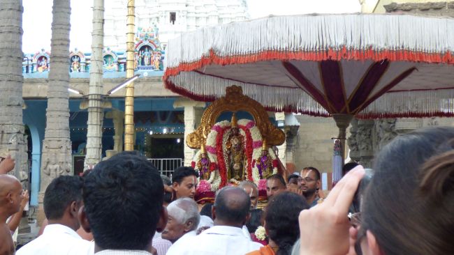 Kanchi Sri Devarajaswami Temple Avani Ekadasi Purappadu   2015 06