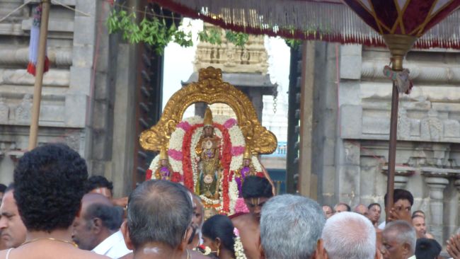 Kanchi Sri Devarajaswami Temple Avani Ekadasi Purappadu   2015 11