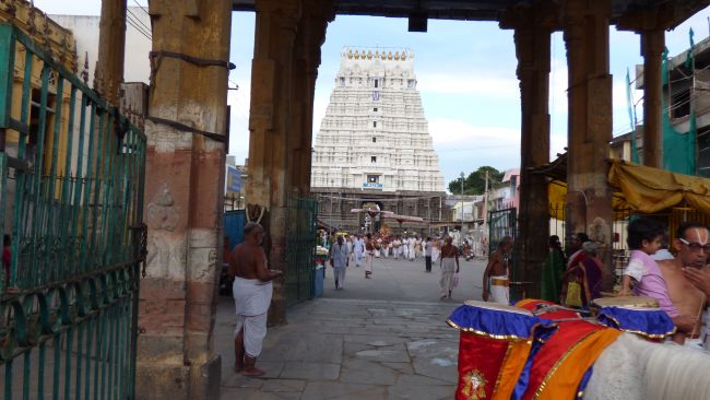 Kanchi Sri Devarajaswami Temple Avani Ekadasi Purappadu   2015 13