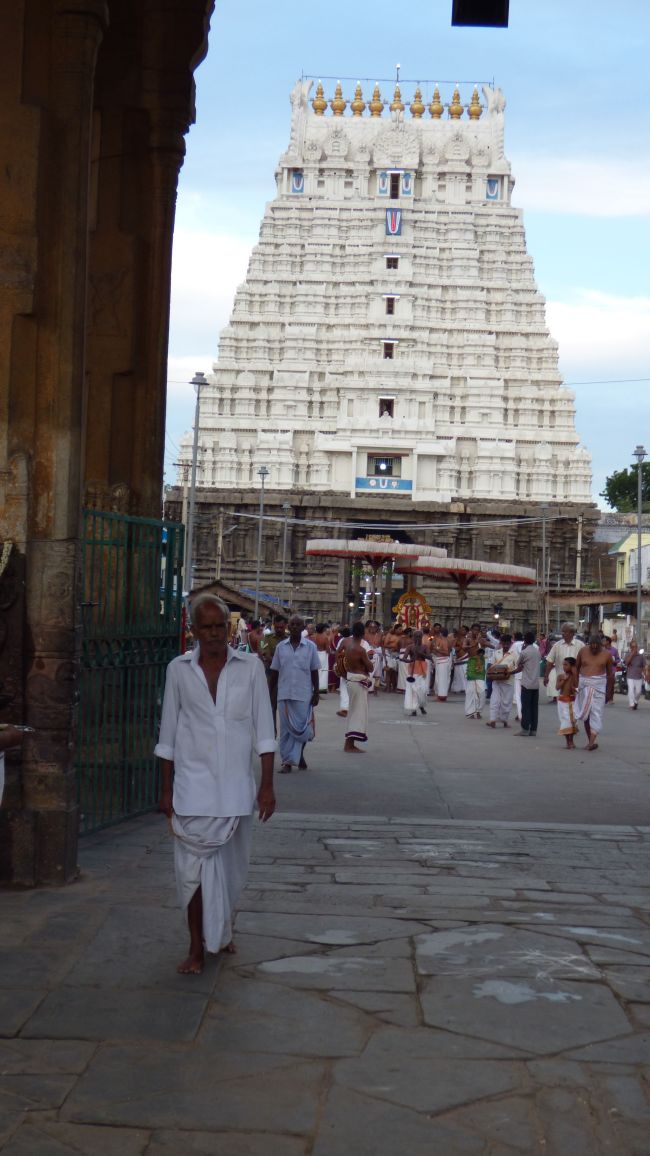 Kanchi Sri Devarajaswami Temple Avani Ekadasi Purappadu   2015 15