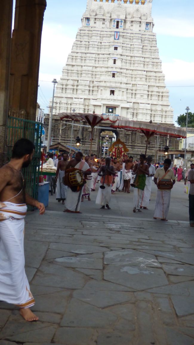 Kanchi Sri Devarajaswami Temple Avani Ekadasi Purappadu   2015 17