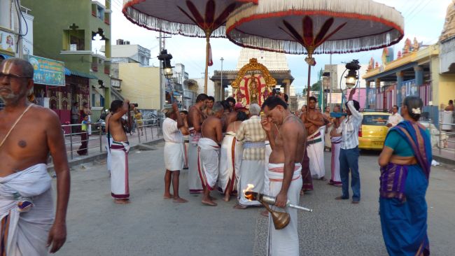 Kanchi Sri Devarajaswami Temple Avani Ekadasi Purappadu   2015 19