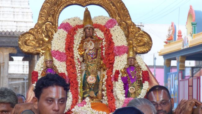 Kanchi Sri Devarajaswami Temple Avani Ekadasi Purappadu   2015 24