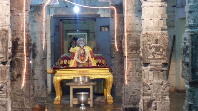 Kanchi Sri Devarajaswami Temple Avani Thiuvadhirai 2015 25