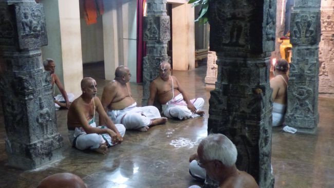 Kanchi Sri Devarajaswami Temple Avani Thiuvadhirai 2015 32