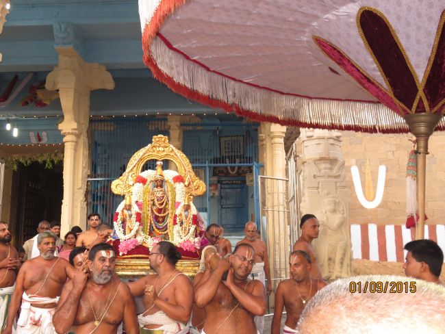 Kanchi Sri Devarajaswami Temple Pavithrotsavam day 4 -2015 14