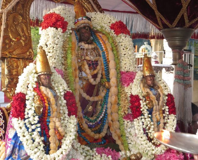 Kanchi Sri Devarajaswami Temple Pavithrotsavam day 4 -2015 15