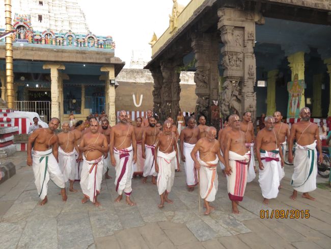 Kanchi Sri Devarajaswami Temple Pavithrotsavam day 4 -2015 18