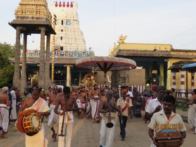 Kanchi Sri Devarajaswami Temple Pavithrotsavam day 4 -2015 21