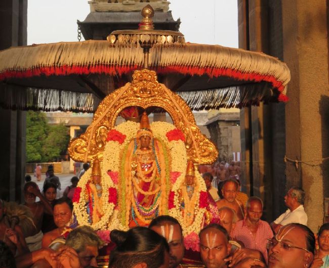 Kanchi Sri Devarajaswami Temple Pavithrotsavam day 4 -2015 22