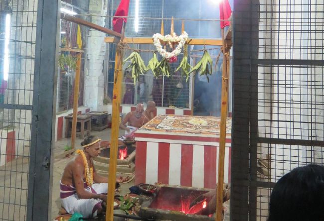 Kanchi Sri Devarajaswami Temple Pavithrotsavam day 4 -2015 32