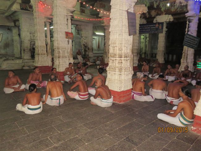 Kanchi Sri Devarajaswami Temple Pavithrotsavam day 4 -2015 36