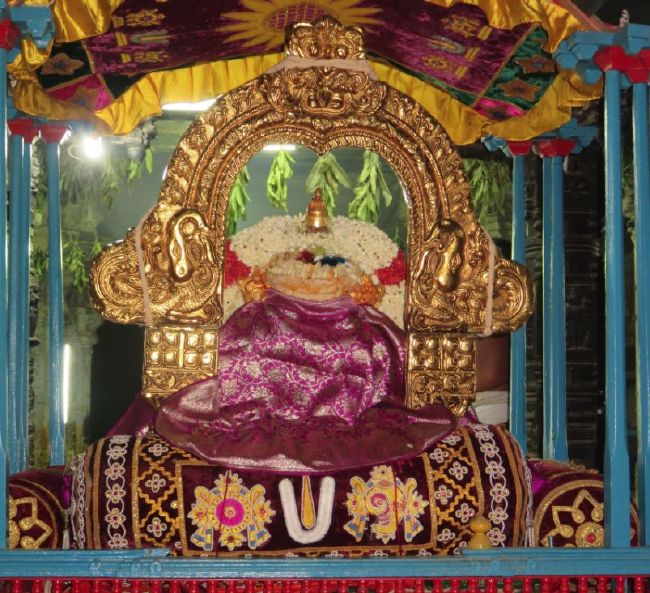 Kanchi Sri Devarajaswami Temple Pavithrotsavam day 4 -2015 37
