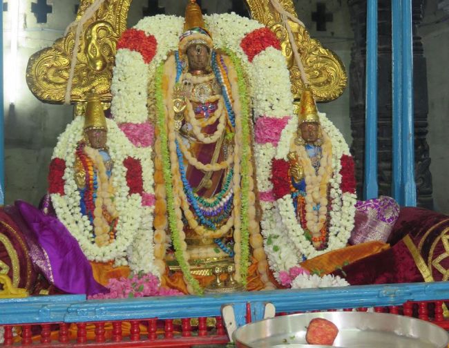 Kanchi Sri Devarajaswami Temple Pavithrotsavam day 4 -2015 38