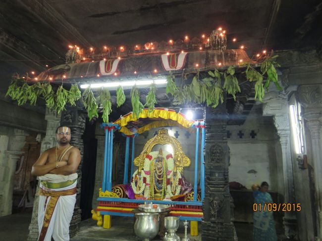 Kanchi Sri Devarajaswami Temple Pavithrotsavam day 4 -2015 39