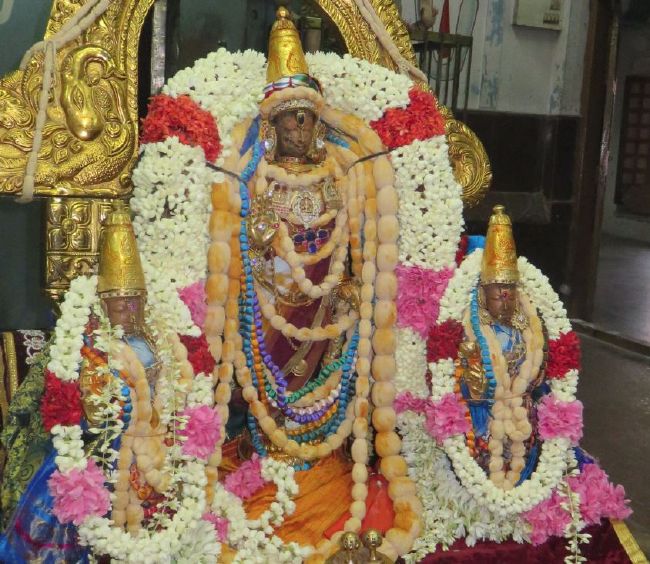 Kanchi Sri Devarajaswami Temple Pavithrotsavam day 5 -2015 01