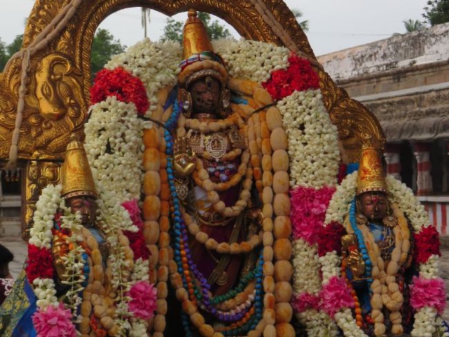 Kanchi Sri Devarajaswami Temple Pavithrotsavam day 5 -2015 10