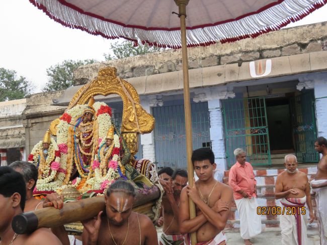 Kanchi Sri Devarajaswami Temple Pavithrotsavam day 5 -2015 11