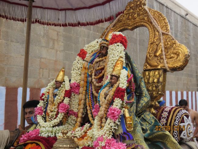 Kanchi Sri Devarajaswami Temple Pavithrotsavam day 5 -2015 12