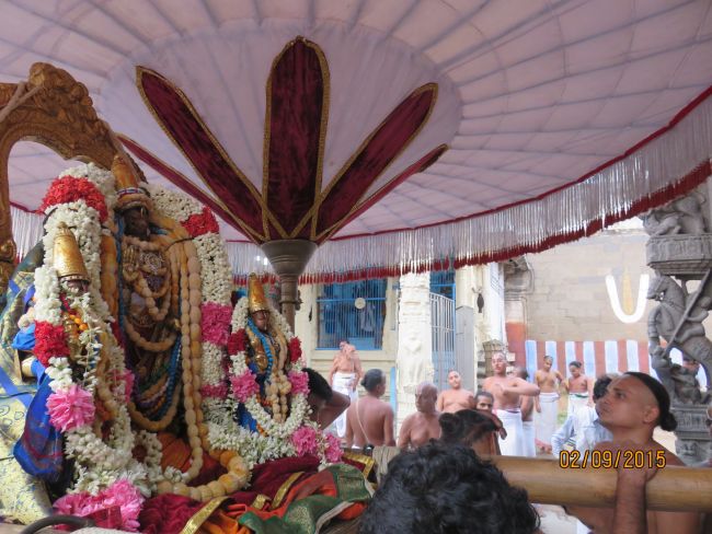 Kanchi Sri Devarajaswami Temple Pavithrotsavam day 5 -2015 19