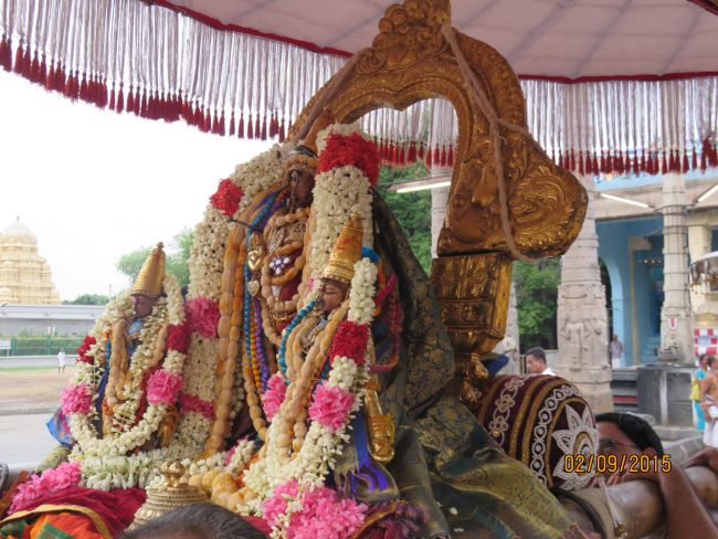 Kanchi Sri Devarajaswami Temple Pavithrotsavam day 5 -2015 22