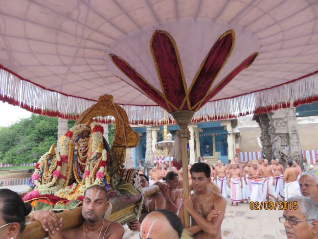 Kanchi Sri Devarajaswami Temple Pavithrotsavam day 5 -2015 24
