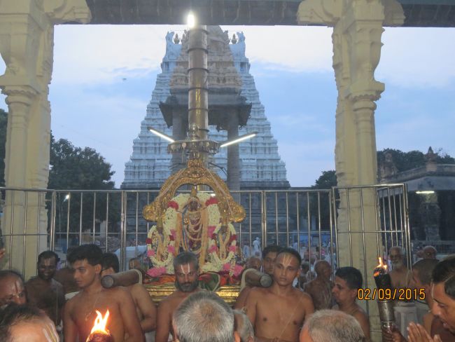 Kanchi Sri Devarajaswami Temple Pavithrotsavam day 5 -2015 35