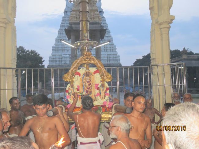 Kanchi Sri Devarajaswami Temple Pavithrotsavam day 5 -2015 36