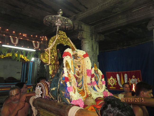 Kanchi Sri Devarajaswami Temple Pavithrotsavam day 5 -2015 39