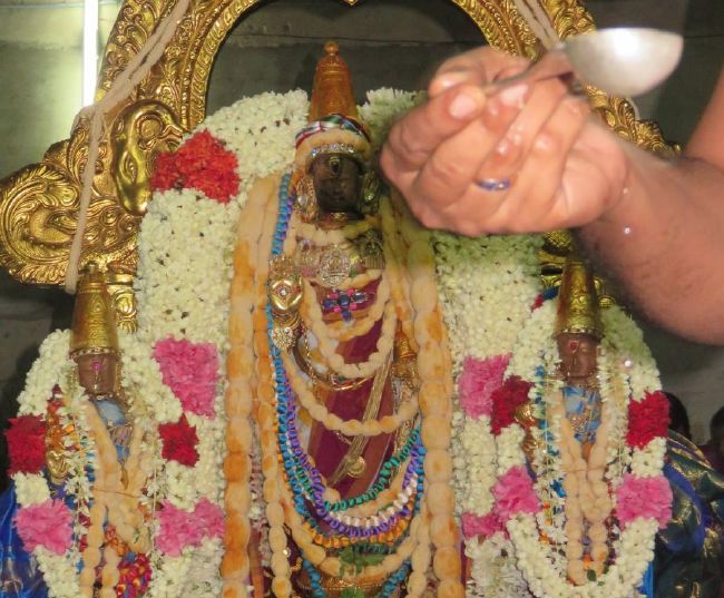 Kanchi Sri Devarajaswami Temple Pavithrotsavam day 5 -2015 40