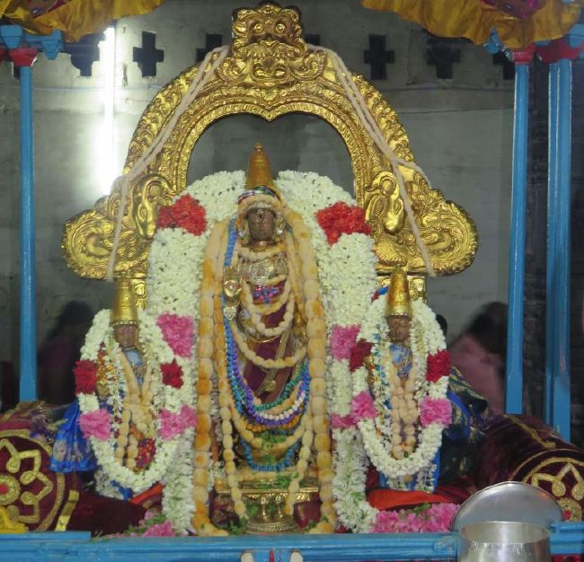 Kanchi Sri Devarajaswami Temple Pavithrotsavam day 5 -2015 41