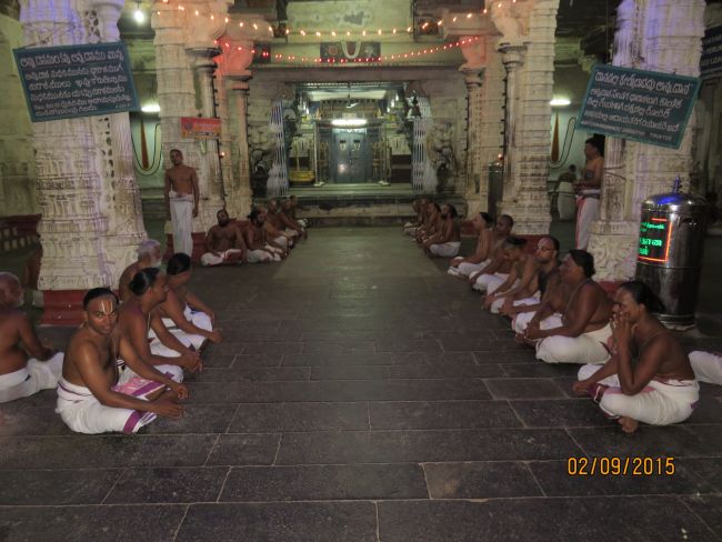 Kanchi Sri Devarajaswami Temple Pavithrotsavam day 5 -2015 44