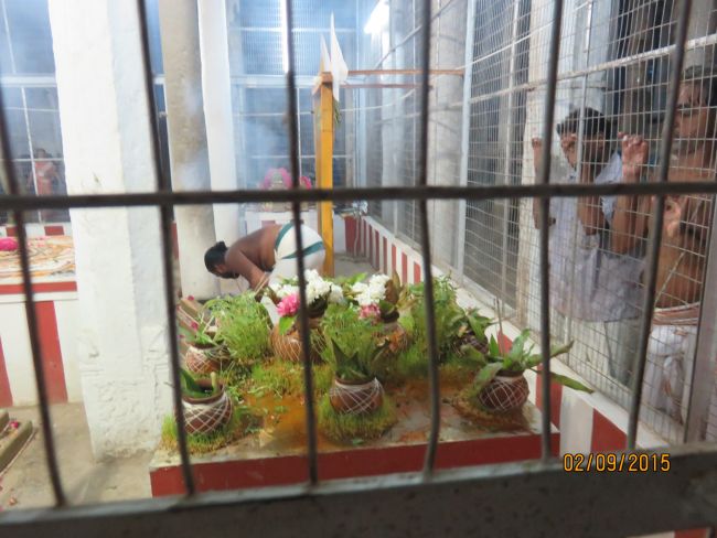 Kanchi Sri Devarajaswami Temple Pavithrotsavam day 5 -2015 45