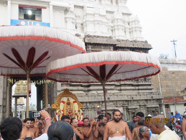 Kanchi Sri Devarajaswami Temple Pavithrotsavam day 6 -2015 10